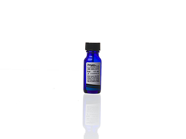 UV15cc - Step #3 UV migrating marking gel- 15mL - up to 100+ marks